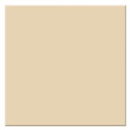 Tiffen 4x4" 81 Light Balancing Glass Filter Size #4481