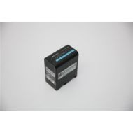 SONY BP-U60 Battery (Used)