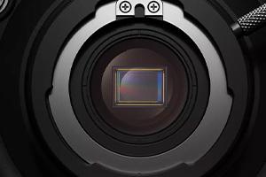 Canon MS-500 Ultra-High Sensitivity Camera with SPAD Sensor